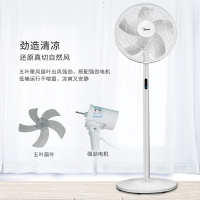 美的(Midea) 电风扇 FS40-18BR 家用落地扇客厅台地扇 轻触式按键方式遥控版控制方式摇头送风方式