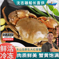 【活鲜】沈志雄 东山岛海鲜活红膏蟹红鲟青螃蟹 1只 450g
