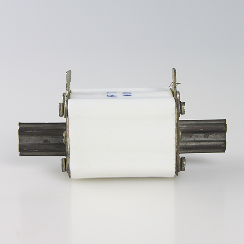 德力西电子元件陶瓷熔断器熔芯RTO-100/100A