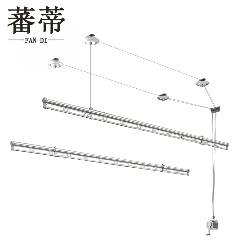 蕃蒂