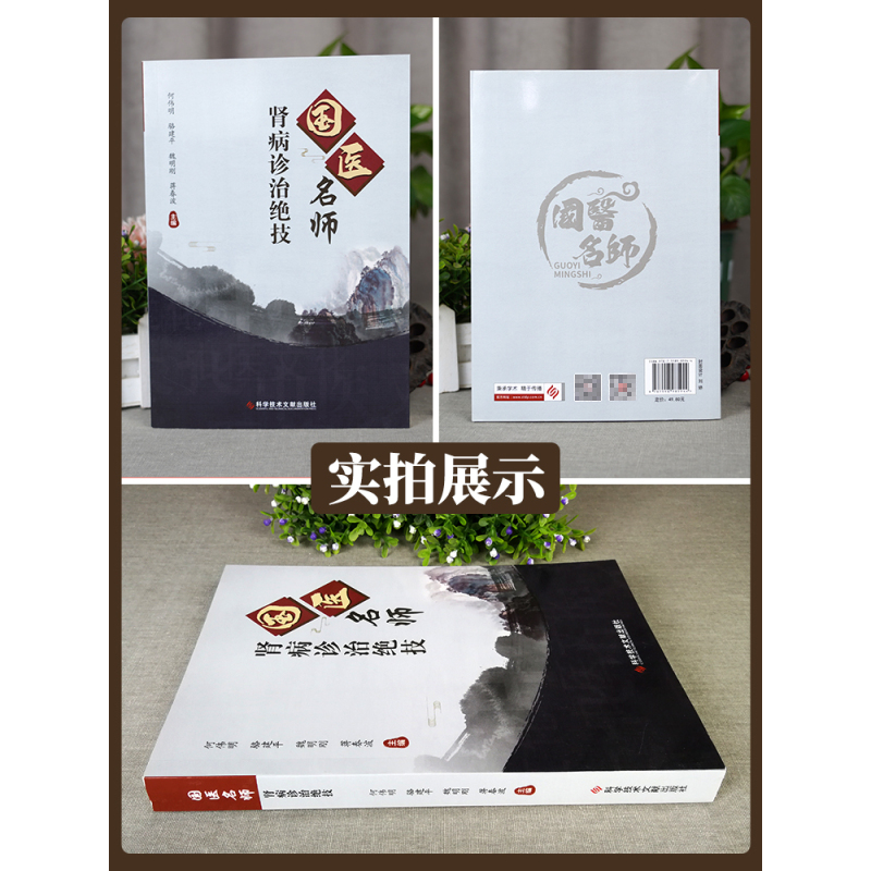 [正版]国医名师肾病诊治绝技何伟明肾疾病中医治疗法中医养生医学保健书籍科学技术文献出版可搭肖相如论治肾病肾脏内科案例分