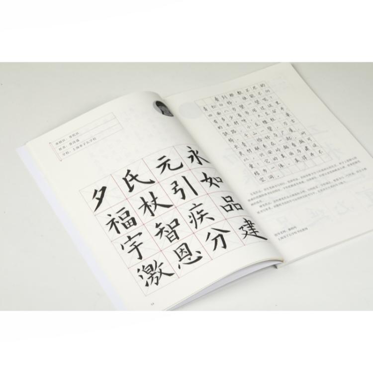 [正版]扫码视频 上海市小学生写字等级考试辅导 艺术理论书法楷书教学参考资料 考试评分标准教程范例点评 上海书画出高清大图