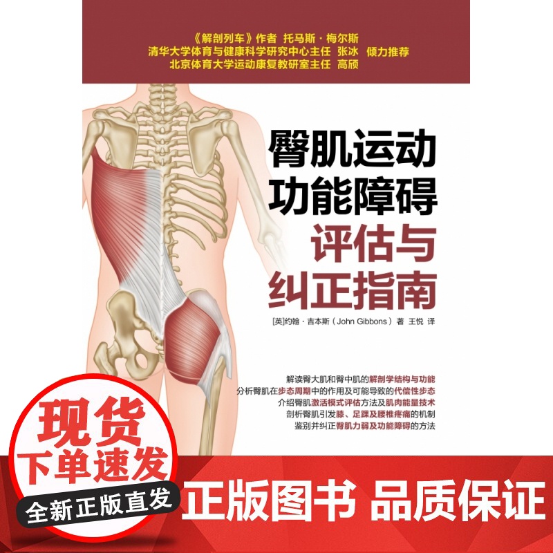 臀肌运动功能障碍评估与纠正指南 健身教练书籍培训教材教程 运动解剖学运动训练学 运动康复书籍肌筋膜松解术 康复训练指导书高清大图