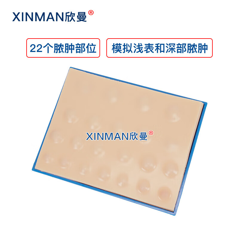 欣曼科教 脓肿切开引流术模块 脓肿切开模型XM-NZB高清大图