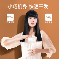 雷瓦负离子电吹风机RC-7105白配橘色家用大功率护发恒温理发店专用宿舍学生吹风筒