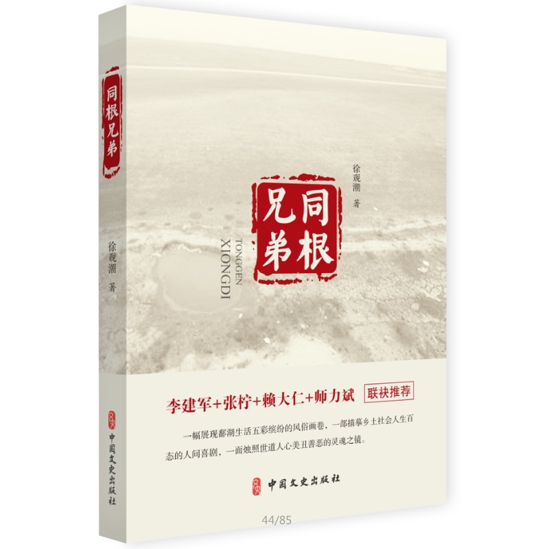 [正版]同根兄弟 徐观潮 著 短篇小说小说集文学书籍中国现当代文学阅世乡土怀旧灵异现当代文学艺术书籍文学作品人性小说人生高清大图