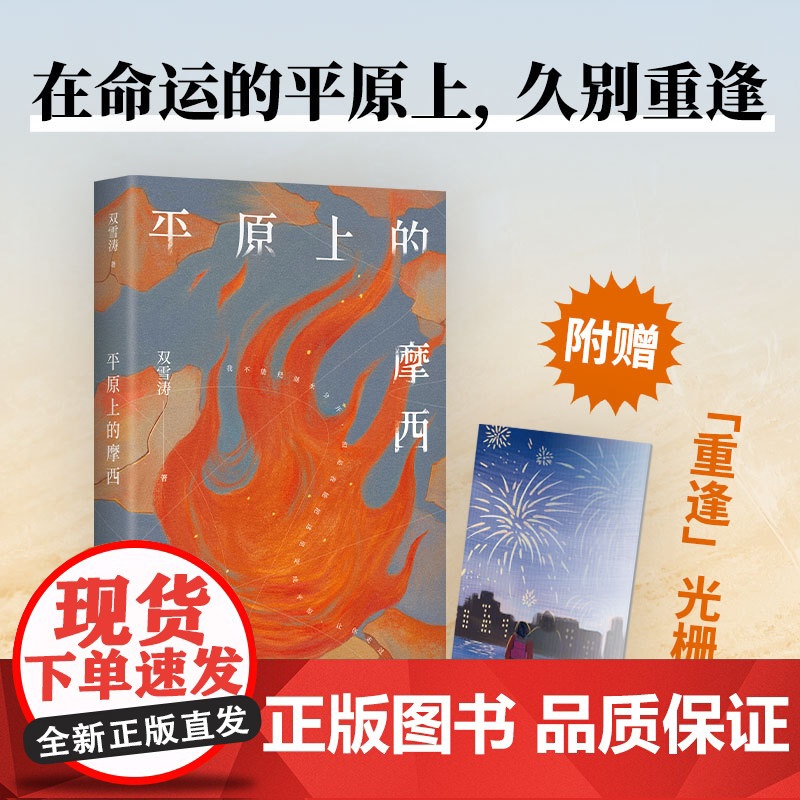 平原上的摩西 双雪涛代表作 电影《平原上的火焰》《我的朋友安德烈》原著 首刷限定附赠光栅卡+创作谈高清大图