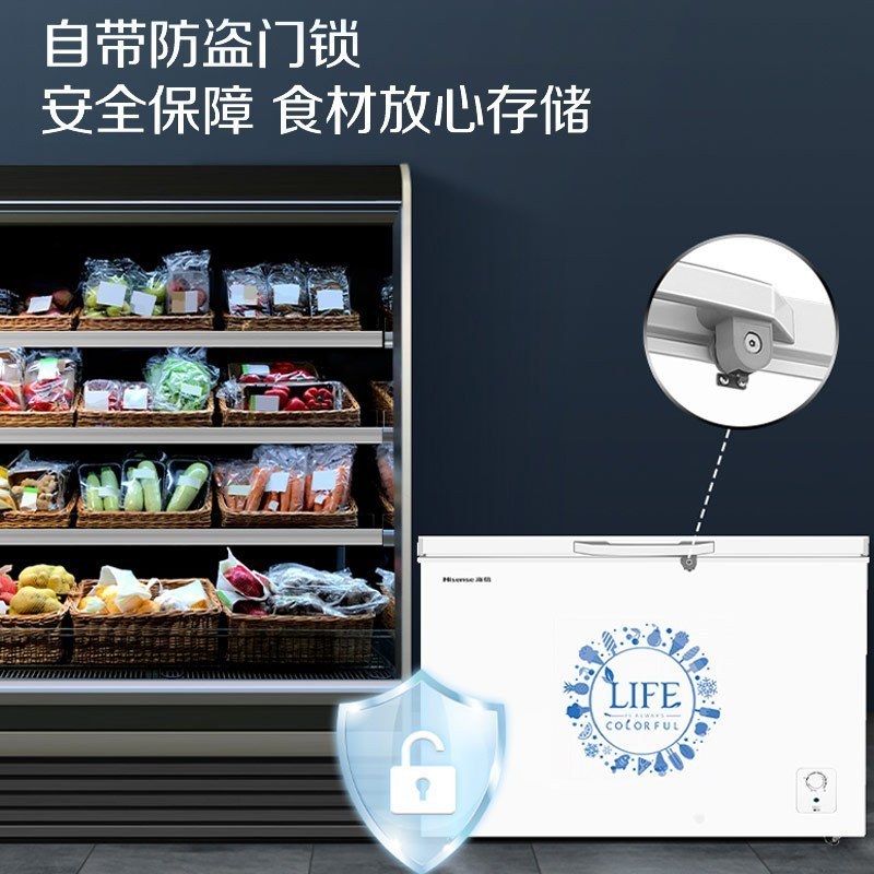 海信(Hisense)308升 冰柜商用冷藏冷冻柜 雪糕柜冷柜(珍珠白)BD/BC-308NU/A