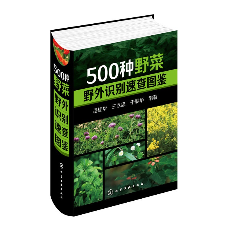 [醉染正版]500种野菜野外识别速查图鉴 岳桂华 生物科学 生活百科书籍 野生植物花草识别图解书籍 植物特性药学图鉴 中高清大图
