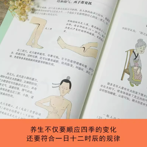 [2册]漫画黄帝内经上+下 [正版]任选漫画黄帝内经 上+下 套装2册 马寅中著 十二时辰养生智慧 二十四节气养生中医养高清大图