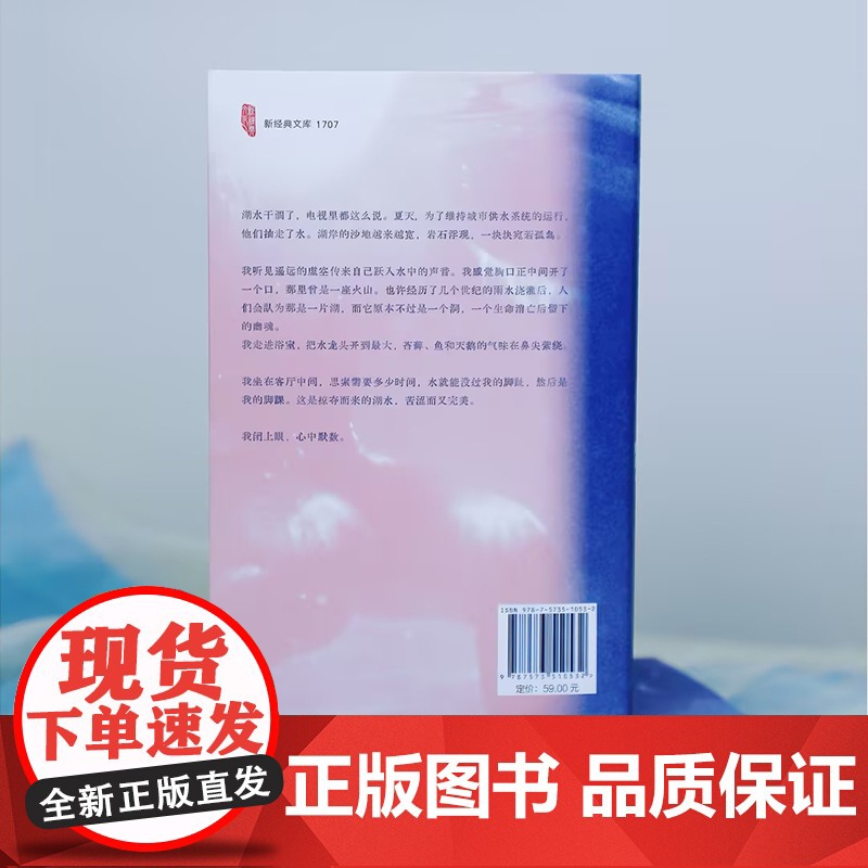 []湖水永远不会甜 意大利新锐女作家 写给无论怎么努力都等不到“风口”的我们 获坎皮耶罗奖 你当像鸟飞往你的山镜高清大图