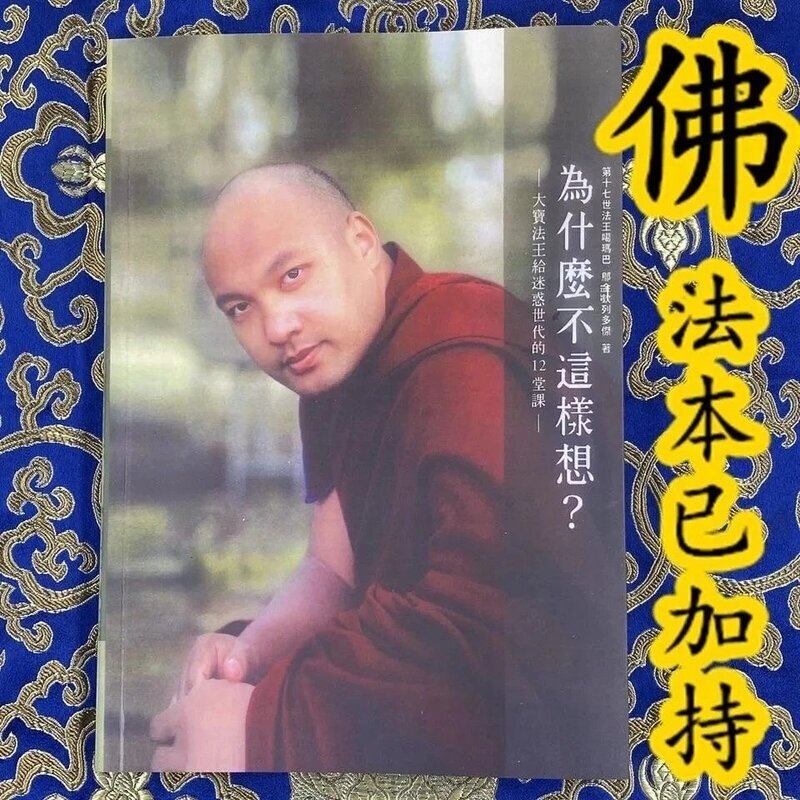 为什么不这样想-大宝法王新书高清大图
