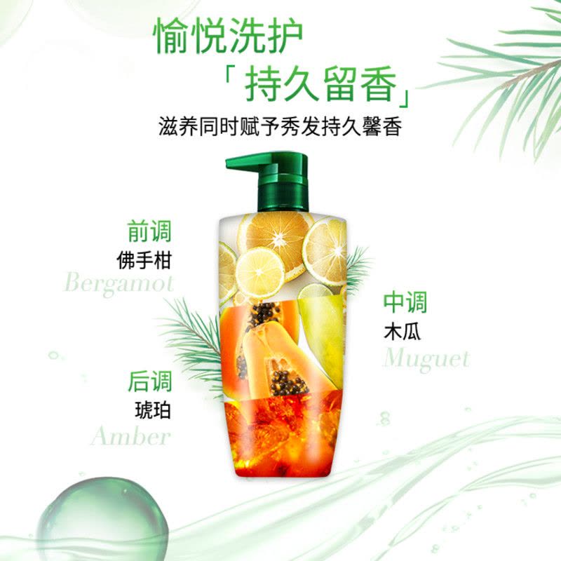 欧莱雅(LOREAL)茶树植萃去屑净油洗发露500ml图片