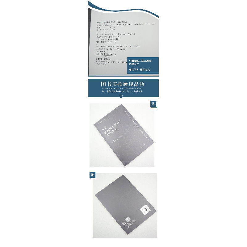 正版 中国站城融合发展论坛论文集 程泰宁,郑健,李晓江 中国建筑高清大图