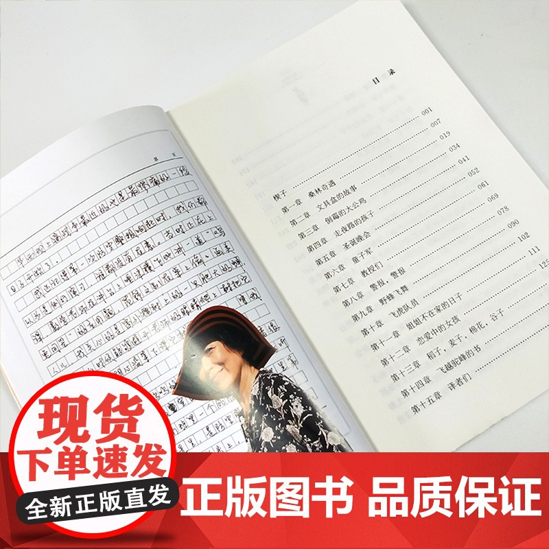 野蜂飞舞/黄蓓佳倾情小说,继《童眸》之后,黄蓓佳又一全新力作,严酷背景下的亲情与成长,三四五六年级小学生课外书读物高清大图