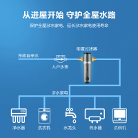 飞利浦全屋自来水前置过滤器反冲洗净水器家用中央净水机AWP1830
