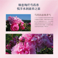 欧舒丹(L'OCCITANE) 芍药花香润手霜75ml