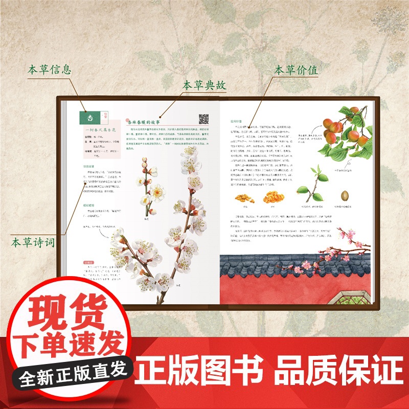 [店]奇妙的本草世界——二十四节气本草百科 中医文化 少儿科普高清大图