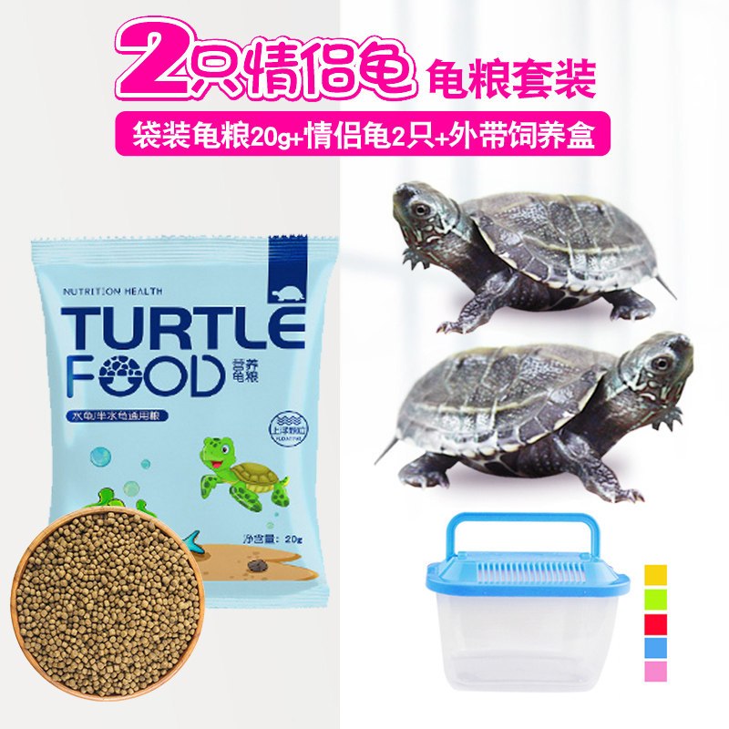 小乌龟饲料通用龟龟粮鱼干虾干淡水巴西龟草龟龟料颗粒专用食物粮