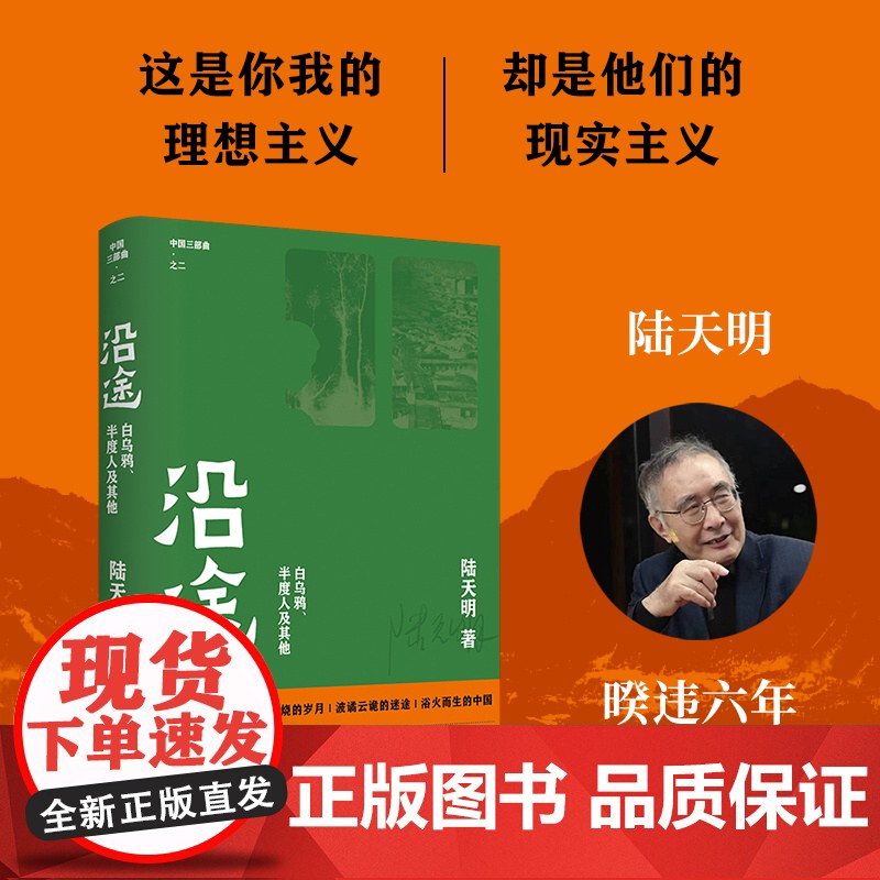 沿途(陆天明著作) 陆天明 人民文学出版社 正版书籍高清大图