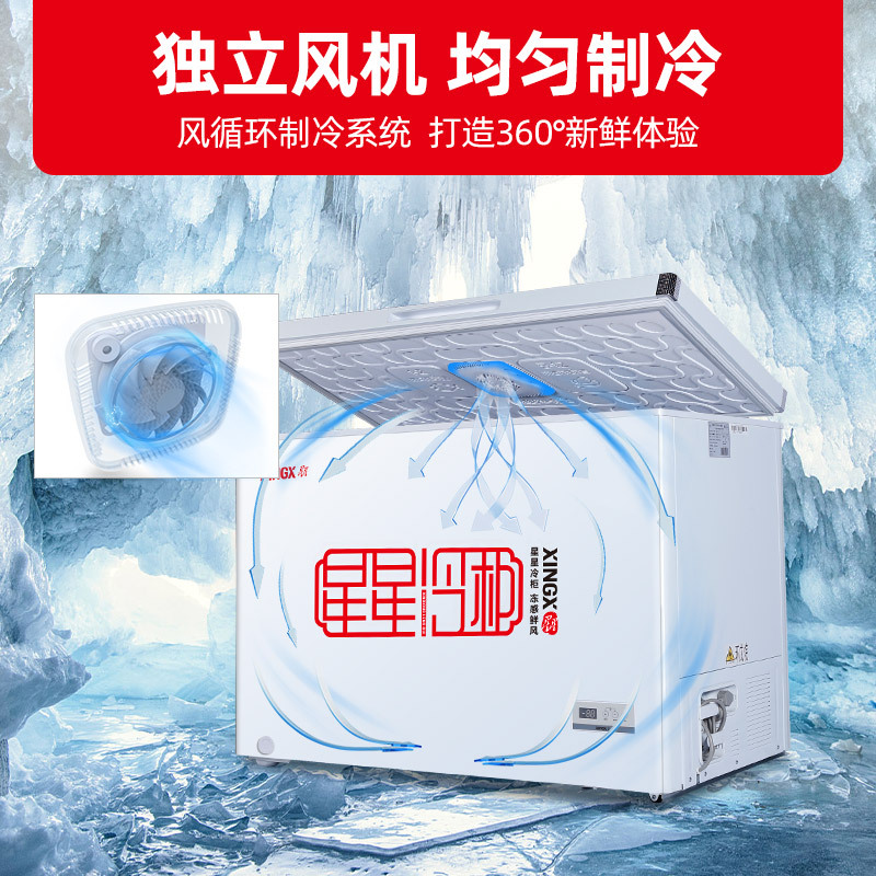 星星(XINGX) 273升 家用冰柜 冷柜 冷藏冷冻转换冰柜 顶开门 节能省电(白色) BD/BC-273FE