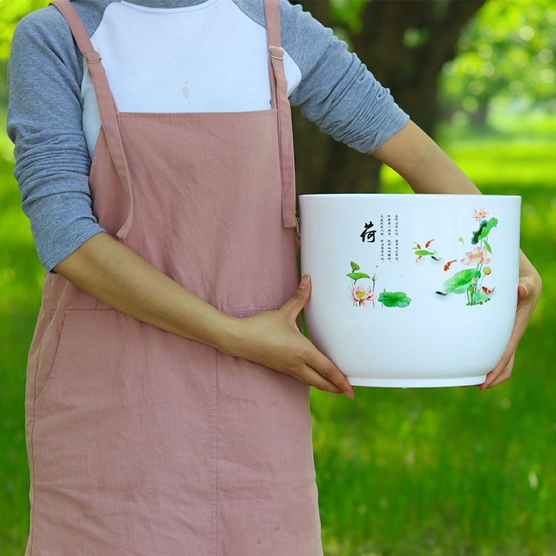 加大加厚pp树脂环保塑料花盆大号绿萝碗莲睡莲荷花无孔水培花盆|兰花盆【有孔】 大号两个装【营养液+碗莲种】