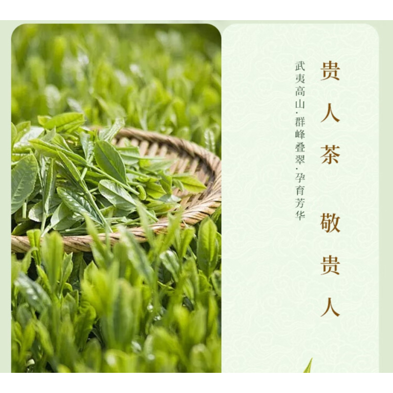 大北府金骏眉 (武夷.桐木关)黄色包装