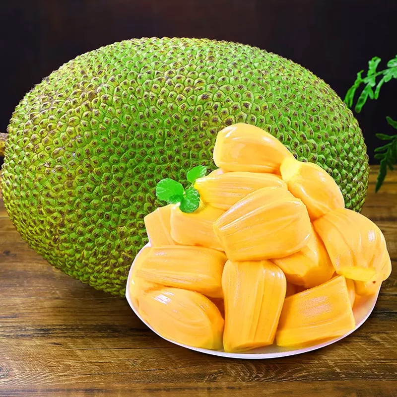 【苏鲜生】海南红肉菠萝蜜 新鲜水果 香甜可口 1个 10-12斤装 苏鲜生水果1