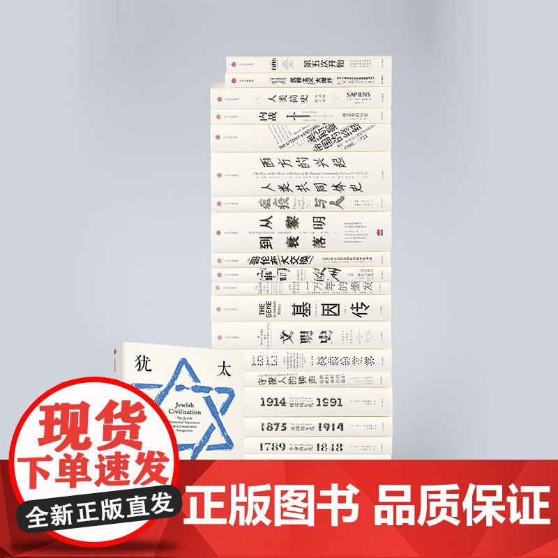 犹太文明 比较视野下的犹太历史 SN艾森斯塔特 著 一本书看清犹太历史内核 中信出版高清大图