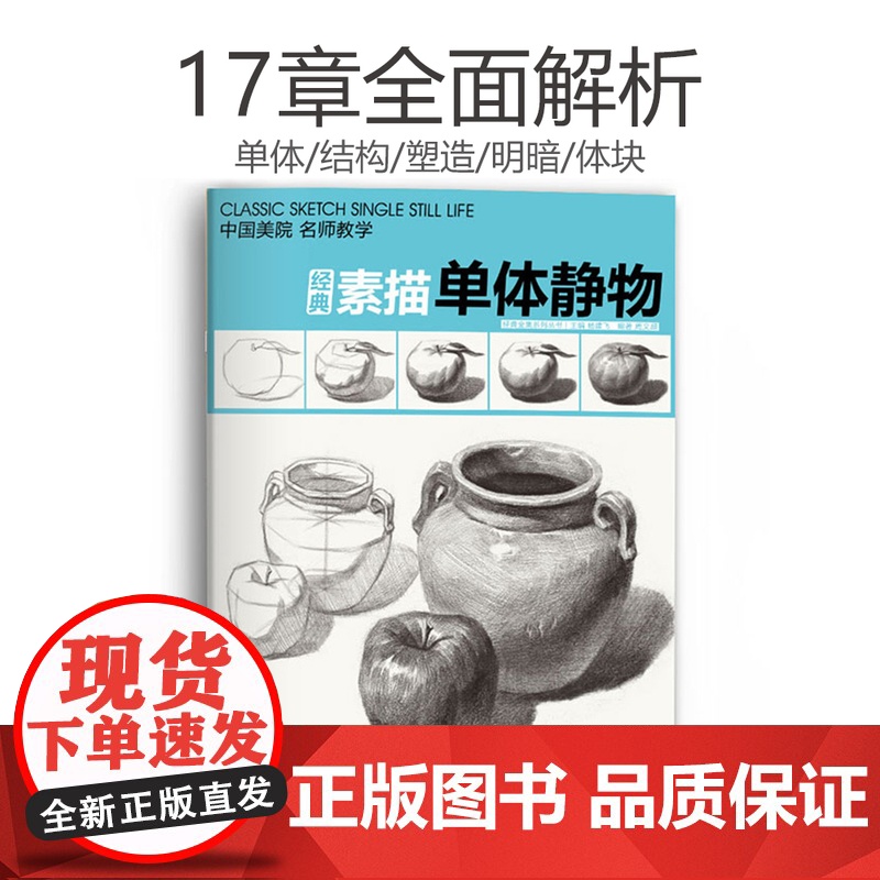 素描单个体静物书临摹范本大画结构解剖与透视训练入门绘画画自学sh高清大图