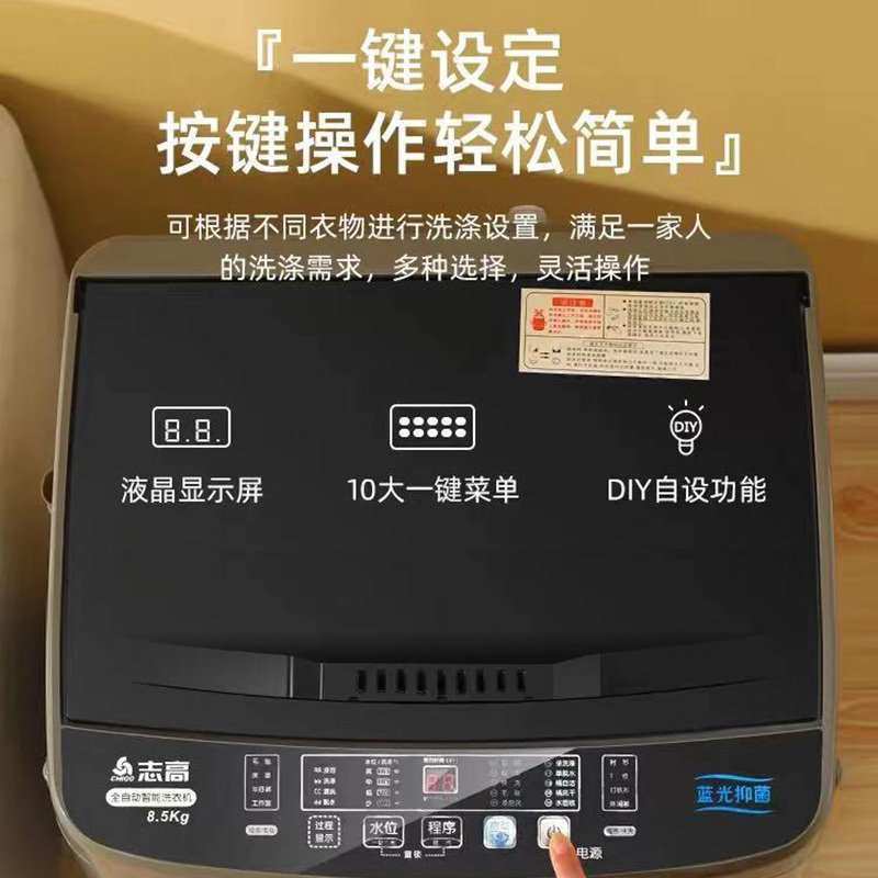 志高 6公斤 波轮洗衣机 除菌
