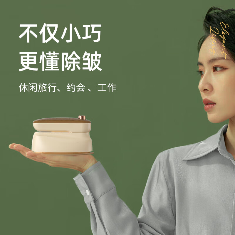 志高(CHIGO)手持挂烫机 JW-228C高清大图