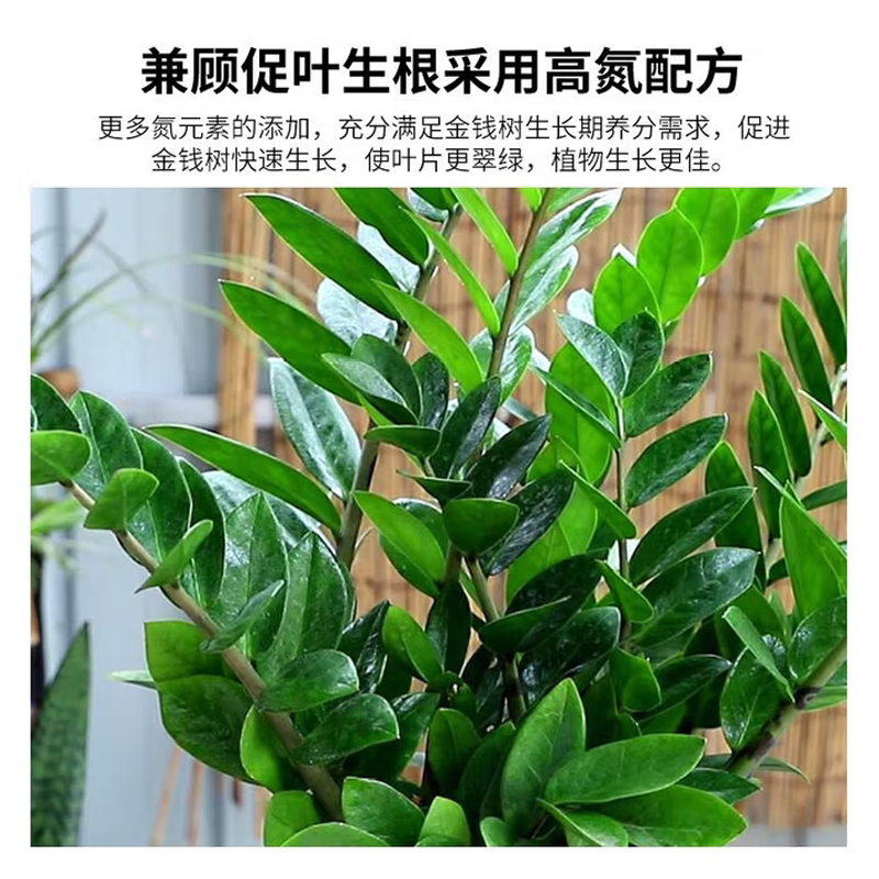 植物营养液 /德沃多/ 2.5L高清大图