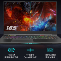 机械革命（MECHREVO）深海泰坦X10 Pro 17.3英寸游戏本笔记本电脑i9-11900H 32G 1T固态 RTX3080 16G独显 高色域165HZ 2K屏 预售