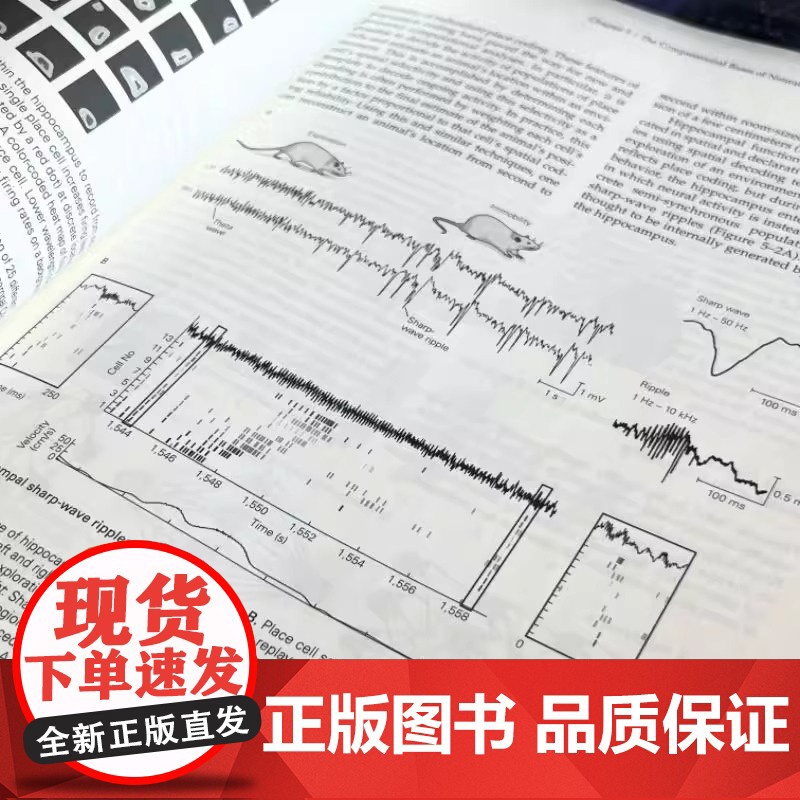 神经科学原理 英文版·原书第6版 美 埃里克·R.坎德尔 美 约翰·D.凯斯特 神经科学原理 英文版·原书第6版 [美]高清大图