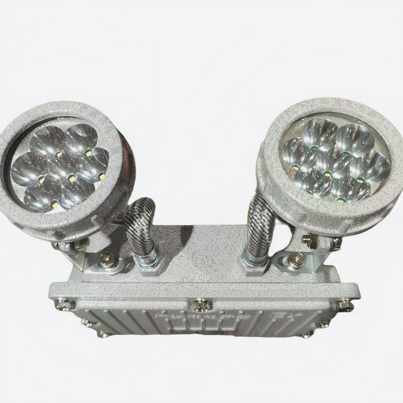 虎光风行 LED 高能工作灯 应急灯 FL-BTC6155-50 照明功率2x5W 黑色
