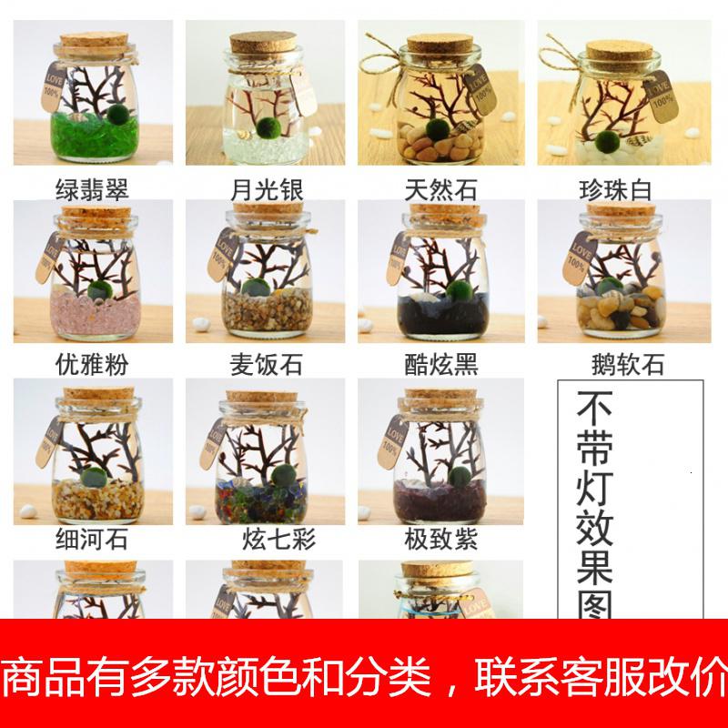 9 9水培植物幸福海藻球微景观生态瓶玻璃瓶迷你盆栽创意图片 高清实拍大图 苏宁易购