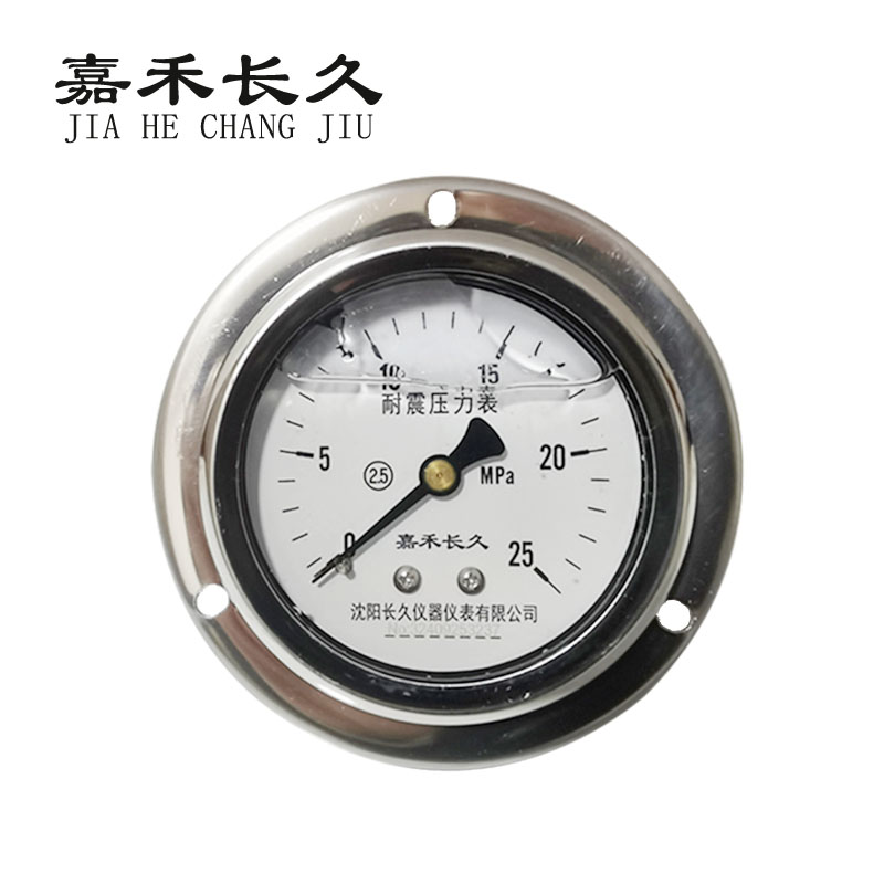嘉禾长久+耐震压力表轴向带边检测定制型+YTN60ZT+块 0-25Mpa