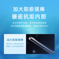 美菱(MeiLing) 60升储水式电热水器经济节能抗腐耐用多重防护内置防电墙 MD-YJ10603