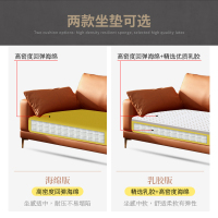 兰秀家居 北欧免洗科技布沙发现代简约客厅小户型沙发意式轻奢布艺沙发组合