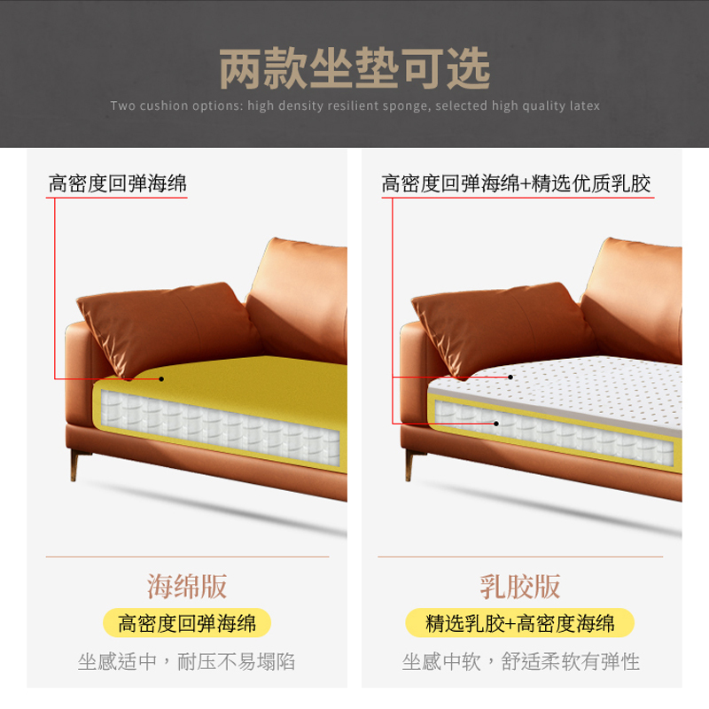 兰秀家居 北欧免洗科技布沙发现代简约客厅小户型沙发意式轻奢布艺沙发组合