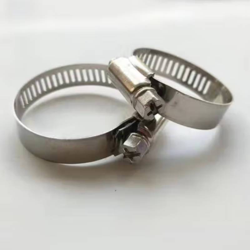 瑞龍304不锈钢 卡箍抱箍塑料管卡收紧管卡强力卡扣水管卡箍18-32mm(100只/包)(单位:包)