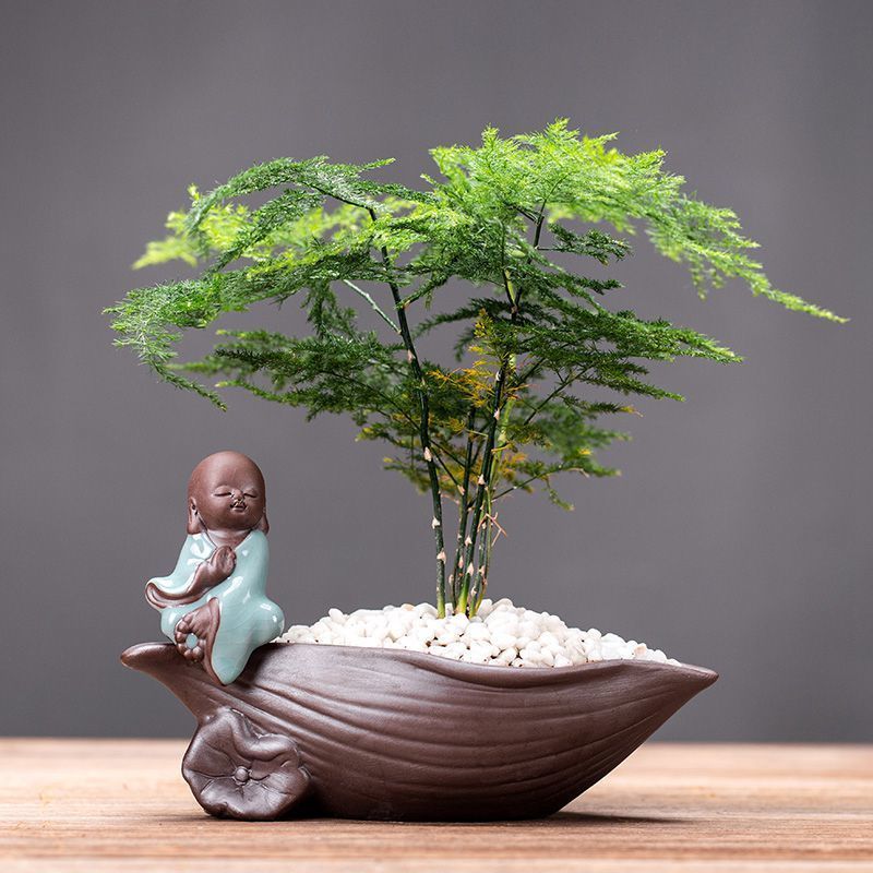 新品创意摆件迷你玻璃透明水培绿萝客厅茶几家居陶瓷桌面花瓶|哥窑花器【水芝】-如来【送文竹】