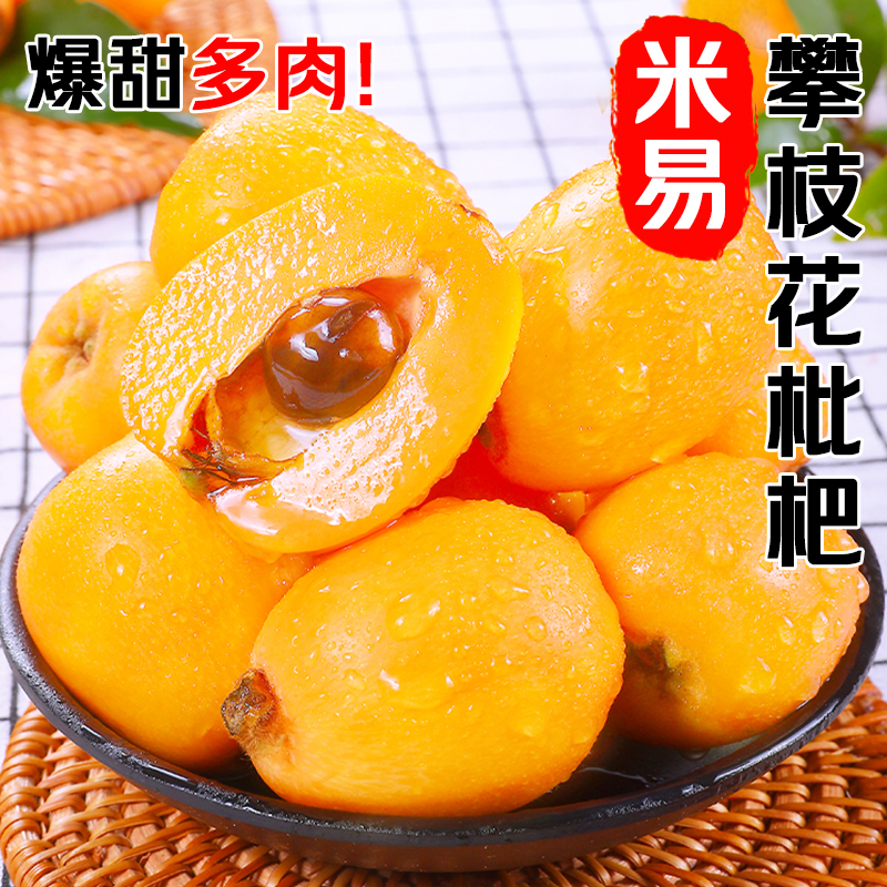 冠町 米易枇杷 5斤装中果(单果20-30g)新鲜水果生鲜