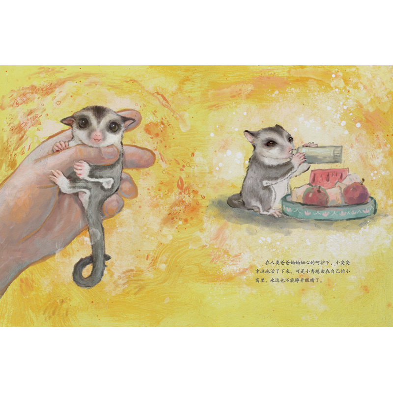 正版新书]小飞鼠和它的朋友-高洪波 绘本 高洪波高洪波978750161高清大图