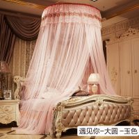 新款圆顶吊顶蚊帐1.5m1.8m床双人家用落地宫廷1.2米公主风免安装