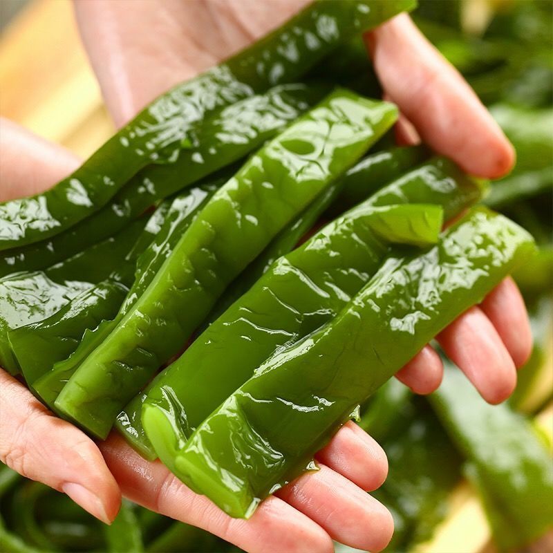 新鲜海白菜凉拌菜裙带菜海藻菜海白菜整箱海带火锅食材非海鲜干货海