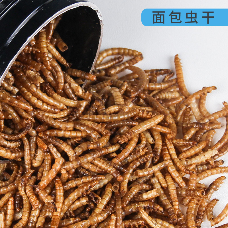 面包虫虫干粉虫鹦鹉鱼乌龟银龙金龙鱼画眉鸟石蛙饲料500克高清大图