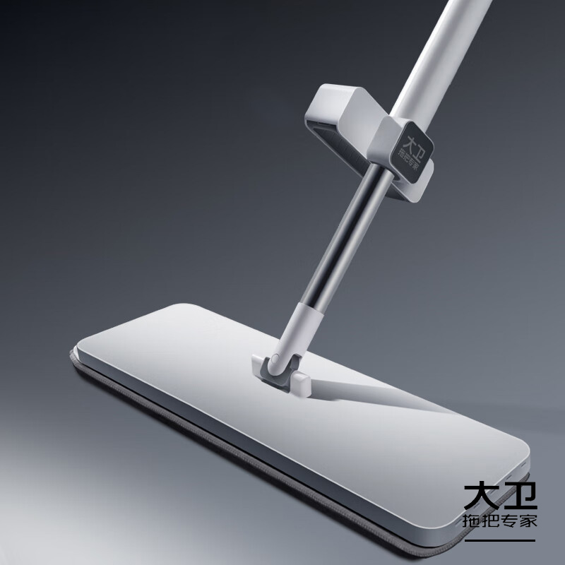 大卫 免手洗加厚平板拖把塑料面板P10 (1杆2布) 单套装