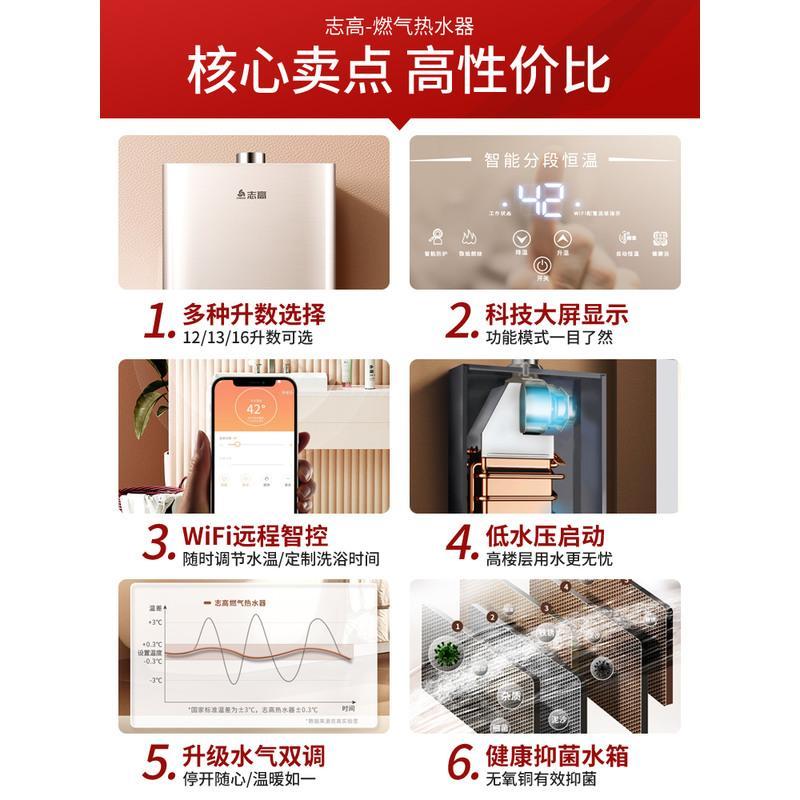 志高燃气热水器家用12升13L恒温天然气液化气煤气强排平衡式16升 十升彩屏手机无线控制 天然气